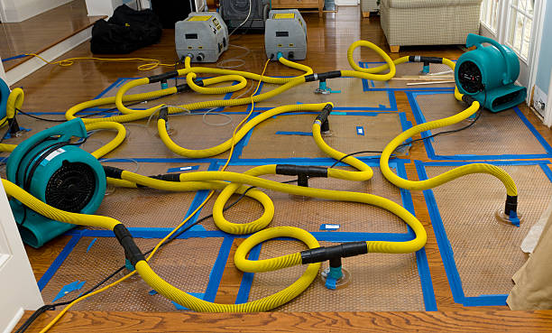 Professional Basement Flood Cleanup technician working in Round Top, NY